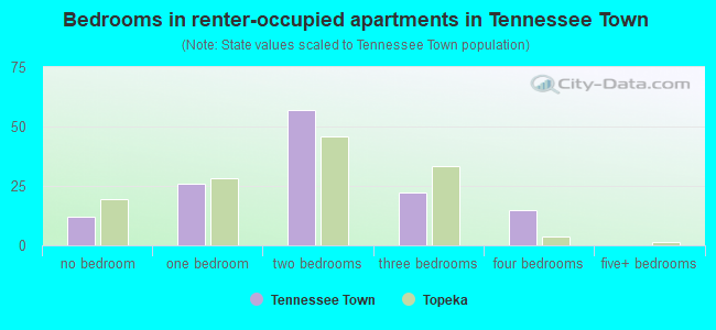 Bedrooms in renter-occupied apartments in Tennessee Town