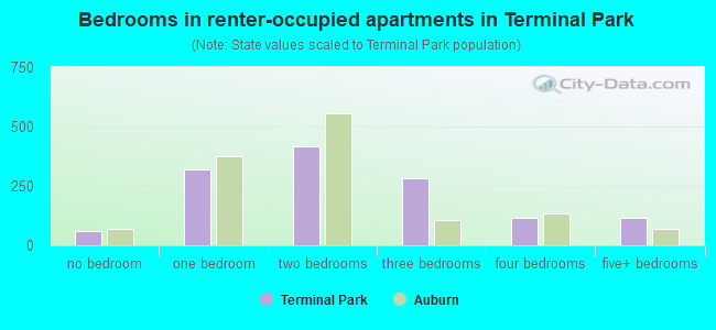Bedrooms in renter-occupied apartments in Terminal Park