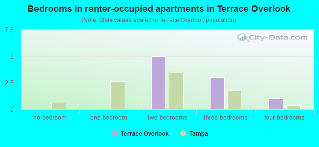 Bedrooms in renter-occupied apartments in Terrace Overlook