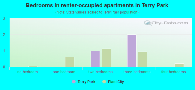 Bedrooms in renter-occupied apartments in Terry Park