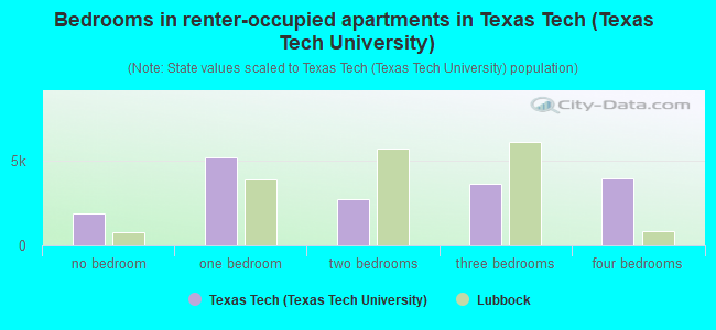 Bedrooms in renter-occupied apartments in Texas Tech (Texas Tech University)