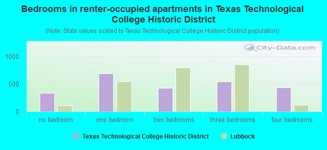 Bedrooms in renter-occupied apartments in Texas Technological College Historic District