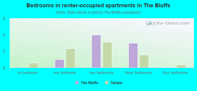 Bedrooms in renter-occupied apartments in The Bluffs