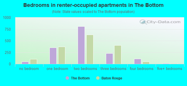 Bedrooms in renter-occupied apartments in The Bottom