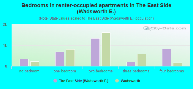 Bedrooms in renter-occupied apartments in The East Side (Wadsworth E.)