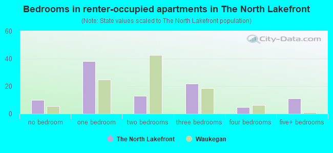 Bedrooms in renter-occupied apartments in The North Lakefront