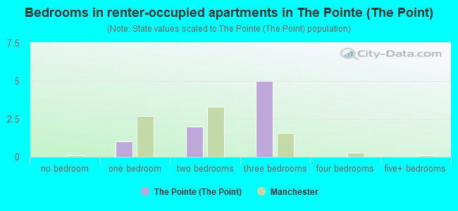 Bedrooms in renter-occupied apartments in The Pointe (The Point)