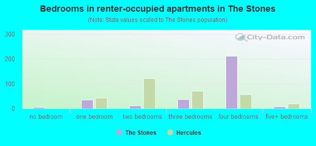Bedrooms in renter-occupied apartments in The Stones