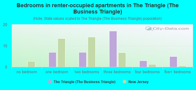 Bedrooms in renter-occupied apartments in The Triangle (The Business Triangle)