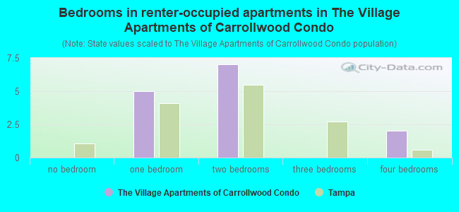 Bedrooms in renter-occupied apartments in The Village Apartments of Carrollwood Condo