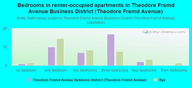 Bedrooms in renter-occupied apartments in Theodore Fremd Avenue Business District (Theodore Fremd Avenue)