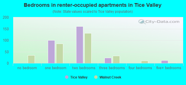 Bedrooms in renter-occupied apartments in Tice Valley