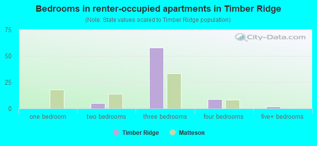 Bedrooms in renter-occupied apartments in Timber Ridge