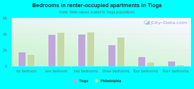 Bedrooms in renter-occupied apartments in Tioga