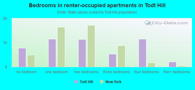 Bedrooms in renter-occupied apartments in Todt Hill