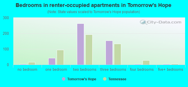 Bedrooms in renter-occupied apartments in Tomorrow's Hope