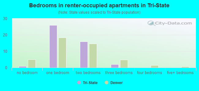 Bedrooms in renter-occupied apartments in Tri-State