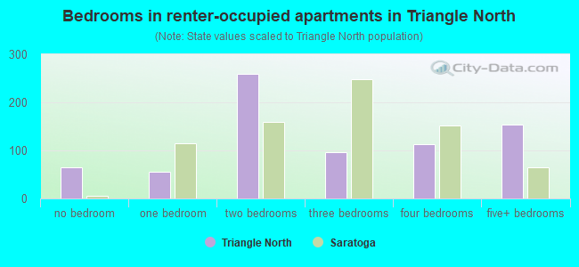 Bedrooms in renter-occupied apartments in Triangle North