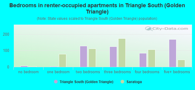 Bedrooms in renter-occupied apartments in Triangle South (Golden Triangle)