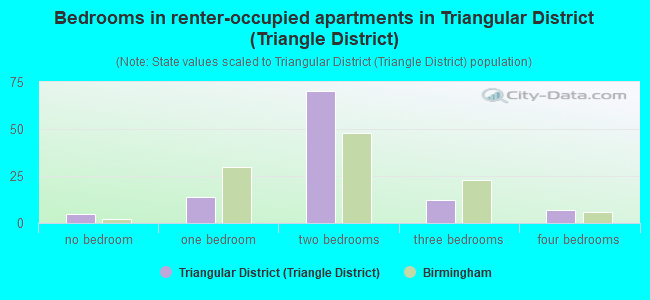 Bedrooms in renter-occupied apartments in Triangular District (Triangle District)