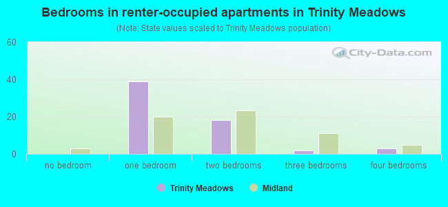 Bedrooms in renter-occupied apartments in Trinity Meadows