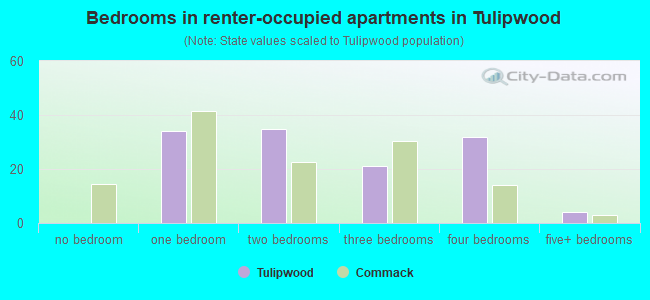 Bedrooms in renter-occupied apartments in Tulipwood