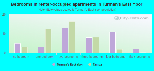 Bedrooms in renter-occupied apartments in Turman's East Ybor