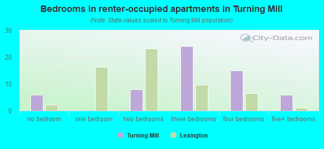 Bedrooms in renter-occupied apartments in Turning Mill