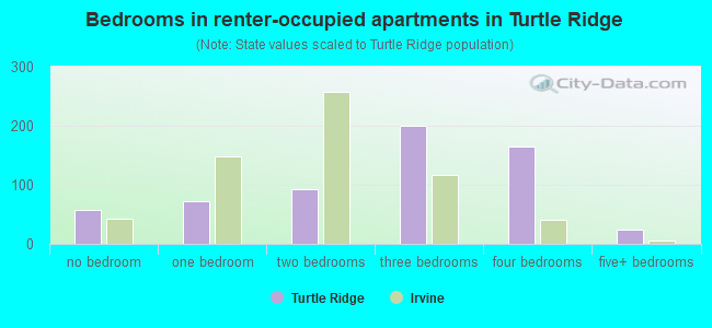 Bedrooms in renter-occupied apartments in Turtle Ridge