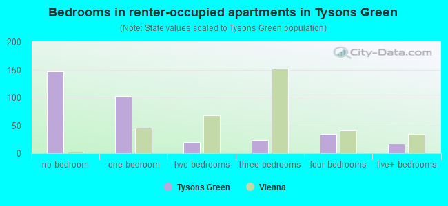 Bedrooms in renter-occupied apartments in Tysons Green