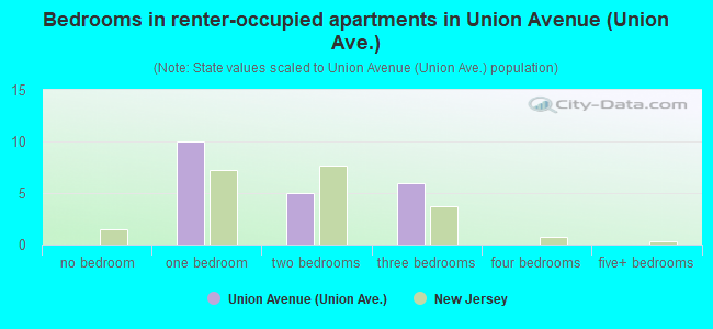 Bedrooms in renter-occupied apartments in Union Avenue (Union Ave.)