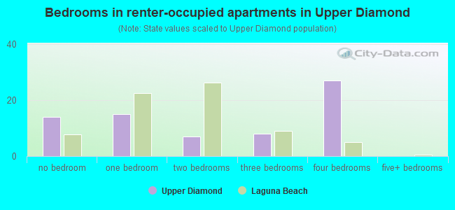 Bedrooms in renter-occupied apartments in Upper Diamond