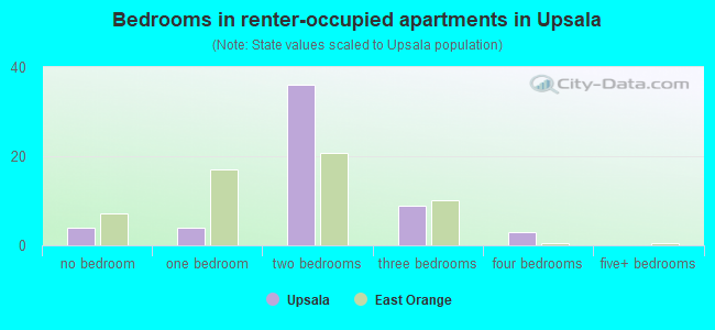 Bedrooms in renter-occupied apartments in Upsala