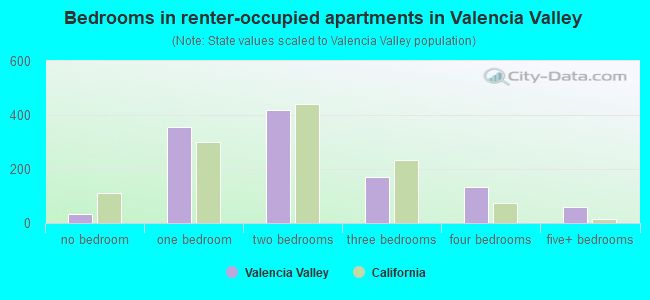 Bedrooms in renter-occupied apartments in Valencia Valley