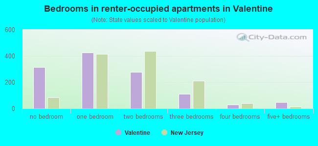 Bedrooms in renter-occupied apartments in Valentine