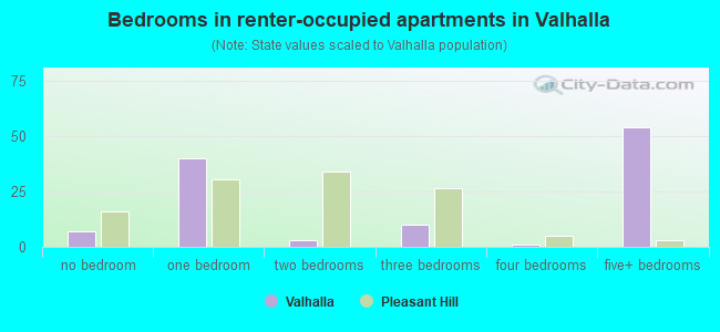 Bedrooms in renter-occupied apartments in Valhalla