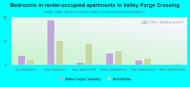 Bedrooms in renter-occupied apartments in Valley Forge Crossing