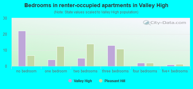 Bedrooms in renter-occupied apartments in Valley High