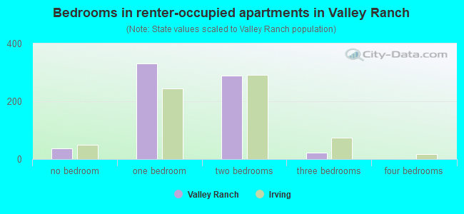 Bedrooms in renter-occupied apartments in Valley Ranch