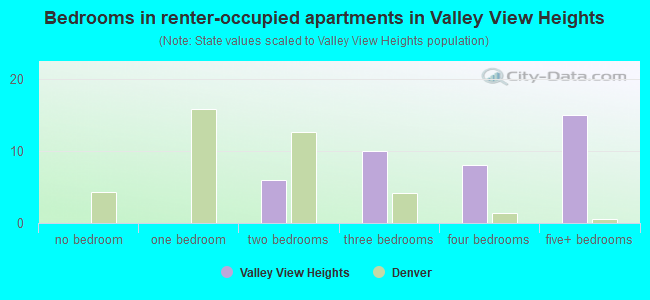 Bedrooms in renter-occupied apartments in Valley View Heights