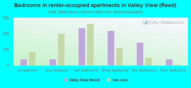Bedrooms in renter-occupied apartments in Valley View (Reed)