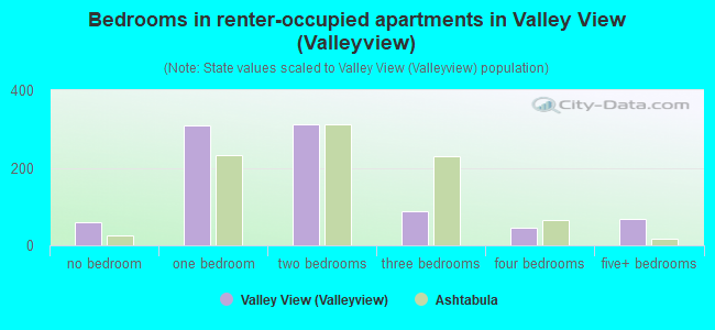 Bedrooms in renter-occupied apartments in Valley View (Valleyview)