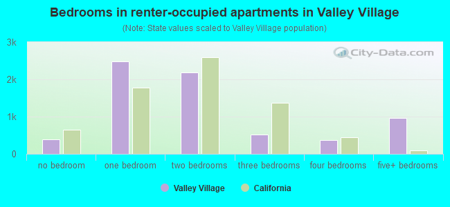 Bedrooms in renter-occupied apartments in Valley Village