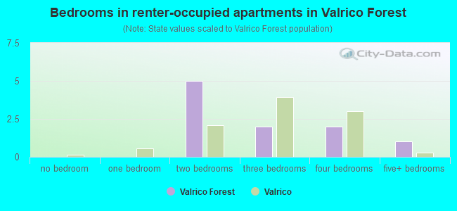 Bedrooms in renter-occupied apartments in Valrico Forest