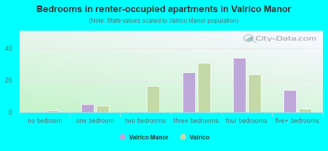 Bedrooms in renter-occupied apartments in Valrico Manor