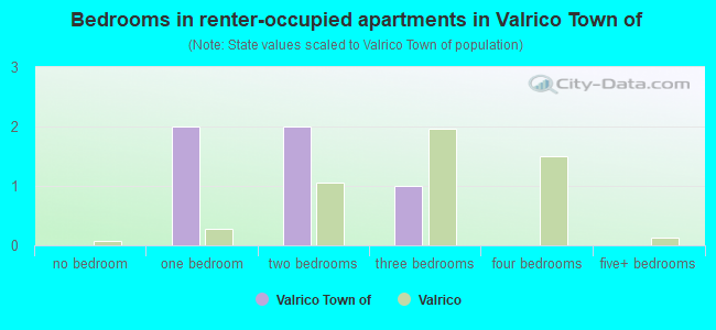 Bedrooms in renter-occupied apartments in Valrico Town of