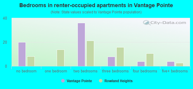 Bedrooms in renter-occupied apartments in Vantage Pointe