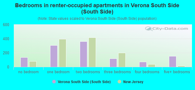 Bedrooms in renter-occupied apartments in Verona South Side (South Side)