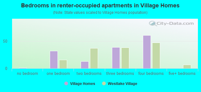 Bedrooms in renter-occupied apartments in Village Homes