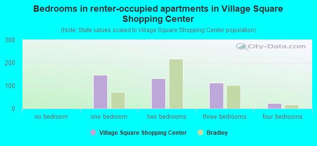 Bedrooms in renter-occupied apartments in Village Square Shopping Center